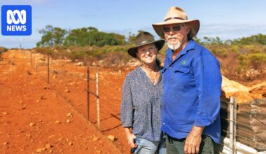 Massive goat trap in remote WA merges new technology and old ideas