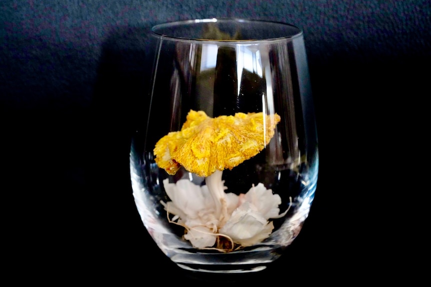 A close up of a glass containing a mushroom made of garlic stem