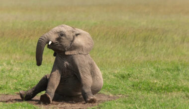 Yahoo lifestyle home