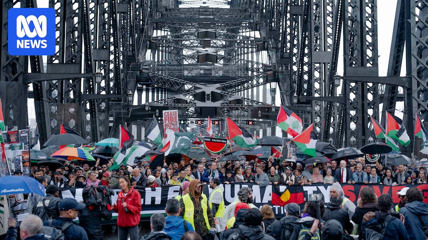 NSW chief justice criticises Tony Abbott's comments on Sydney Harbour Bridge protest