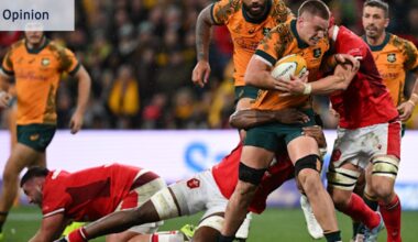 Kiwi bullies the Blues will be good test for the Wallabies’ next weapon Charlie Cale