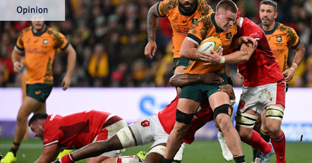 Kiwi bullies the Blues will be good test for the Wallabies’ next weapon Charlie Cale