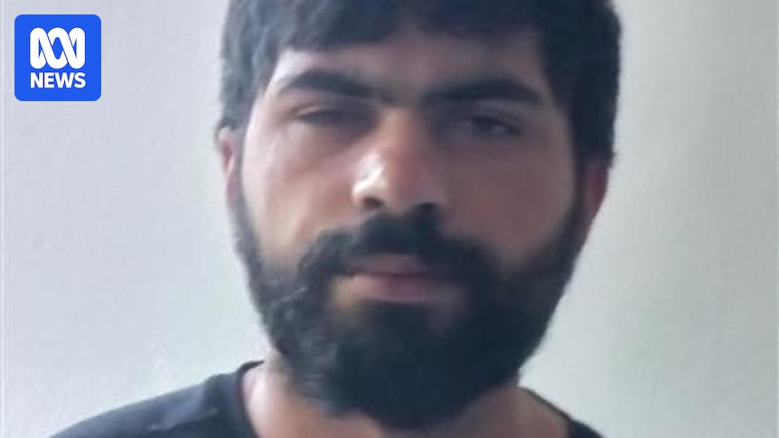 Police search for mental health patient on approved leave who absconded from Cumberland Hospital