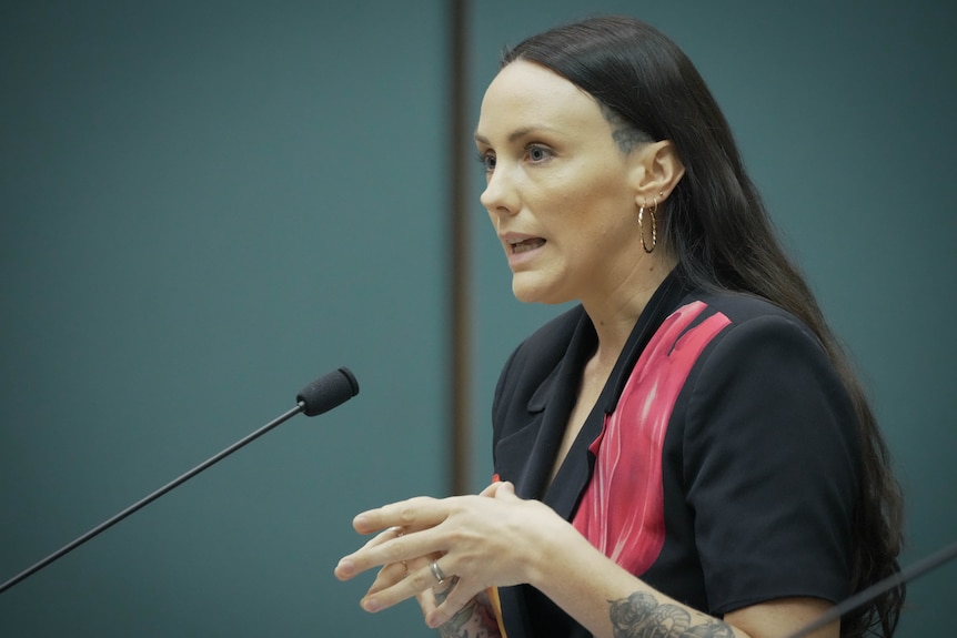 A person, white, wearing a black blazer which has a hot pink flower on it, long hair, gold hoop earings speaking in parliament