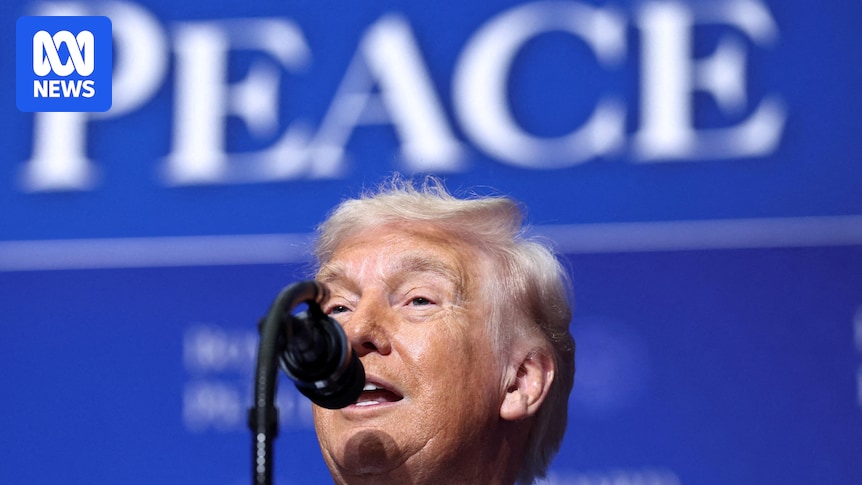 The Board of Peace meant to rebuild Gaza may well end up as another monument to Donald Trump