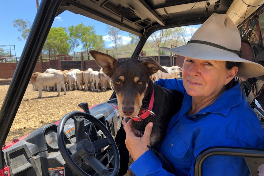 Woman in blue shirt and Akubra sits in buggy with her cattle dog.