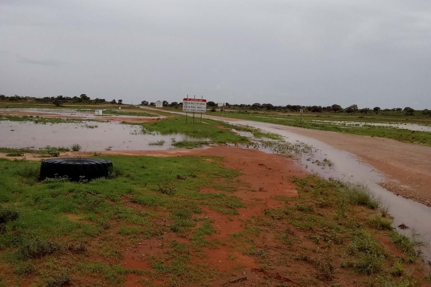Grass growing near puddles of water in an outback area.