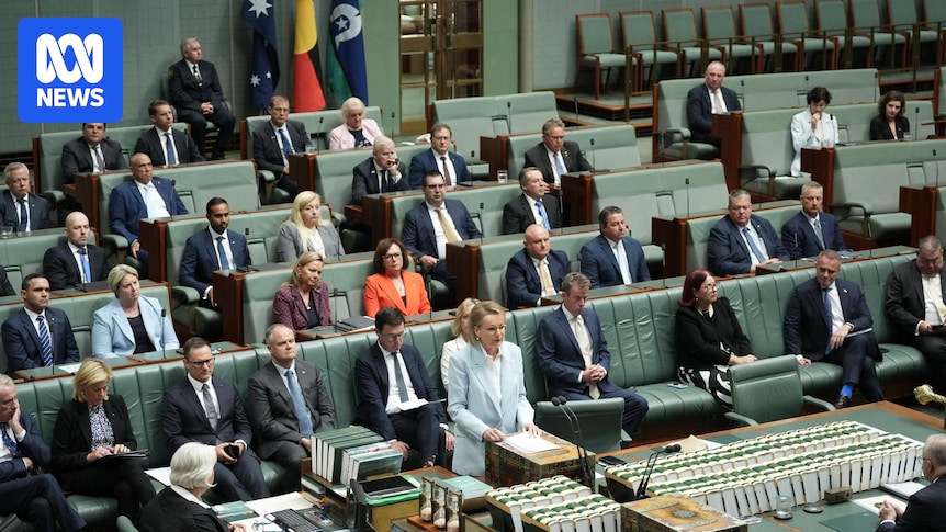 Plotters, kingmakers and dark horses — the Liberals vying for control