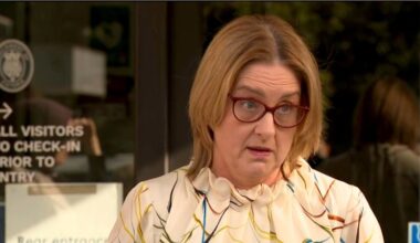 Labor MPs raise concerns about Allan’s handling of CFMEU crisis