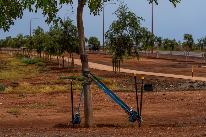 Cloudy hills and ocean ahead of cyclone impact