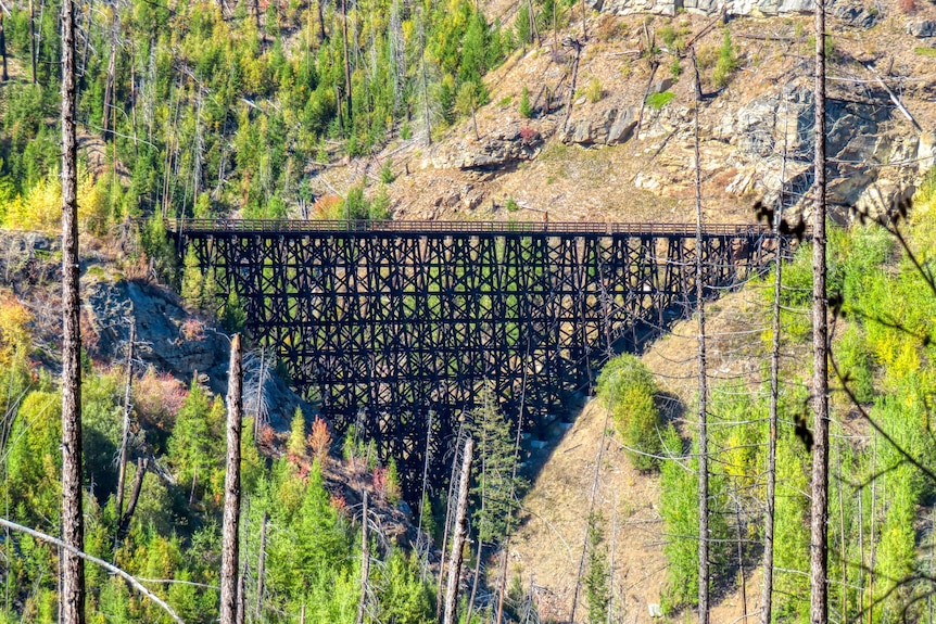 a trestle bridge in the distance, surrounded by trees