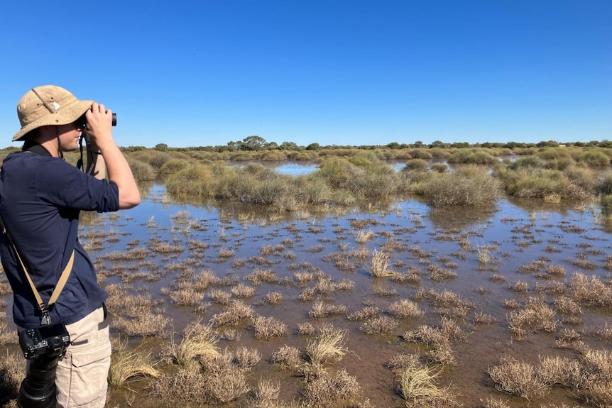 A man looking over an empty landscape through binoculars.