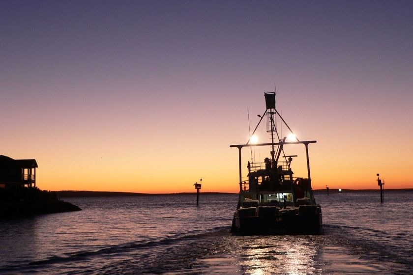 A fishing boat heads out to sea as dawn breaks