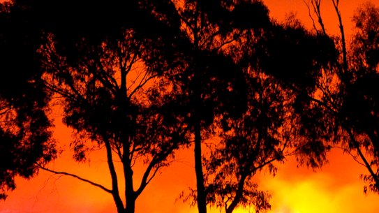 The Black Saturday bushfires followed a period of drought and extreme heat.