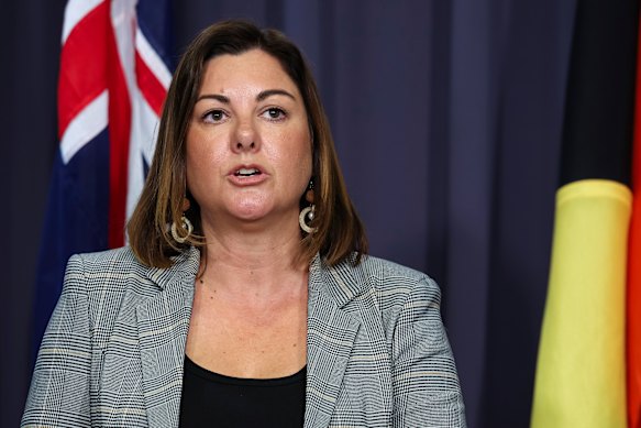 Emergency Management Minister Kristy McBain during a press conference at Parliament House in Canberra today. 