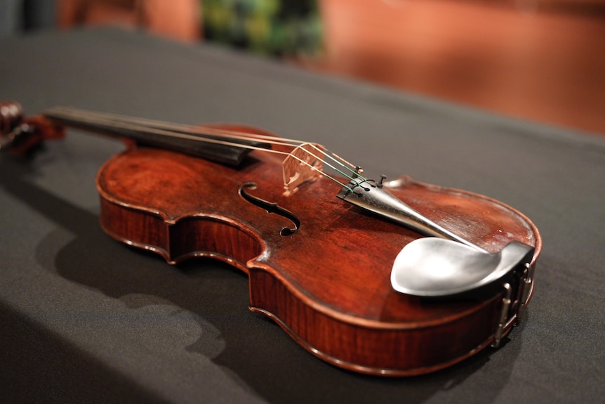 An up-close shot of the viola.