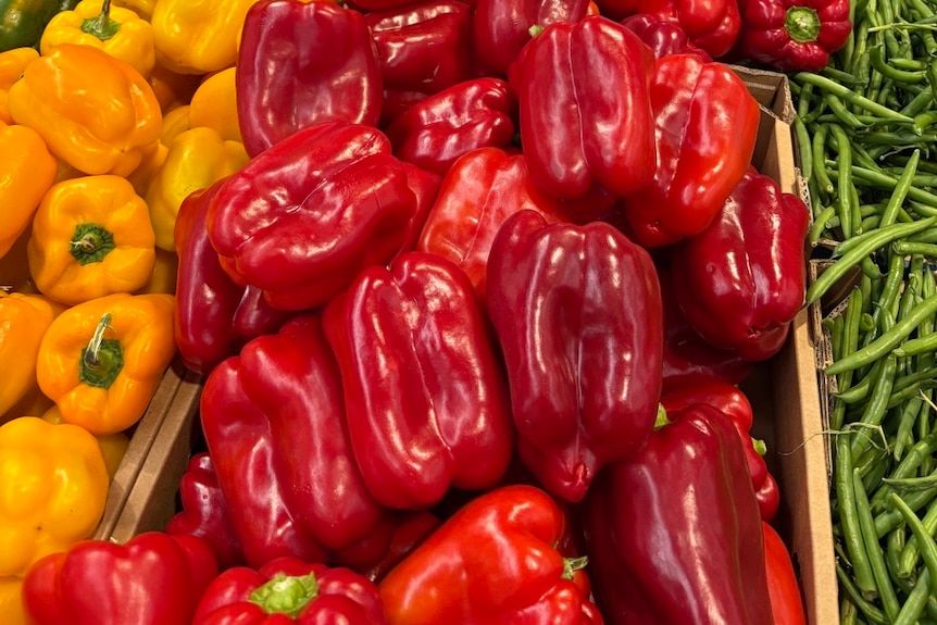 A market display of fresh yellow capsicums, red capsicums and green beans.