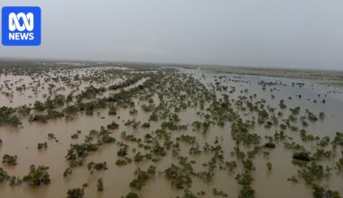 Heavy rain soaks the Barkly and Central Australia, closing roads and inundating cattle stations