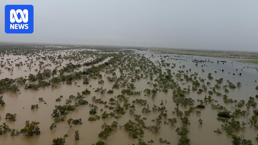 Heavy rain soaks the Barkly and Central Australia, closing roads and inundating cattle stations