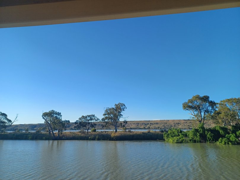 The looping course of the Murray River. 