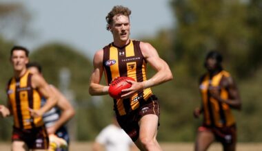 Fox Footy AFL Daily, Hawks teammates respond to Josh Weddle contract call, AFLW Origin plans