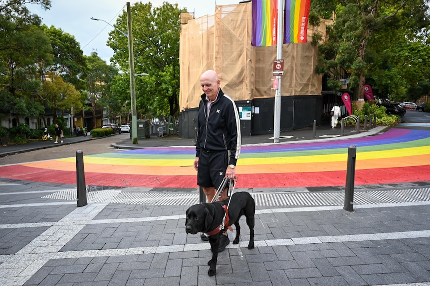 A man in a black tracksuit jumper walks his black guide dog down a rainbow road.