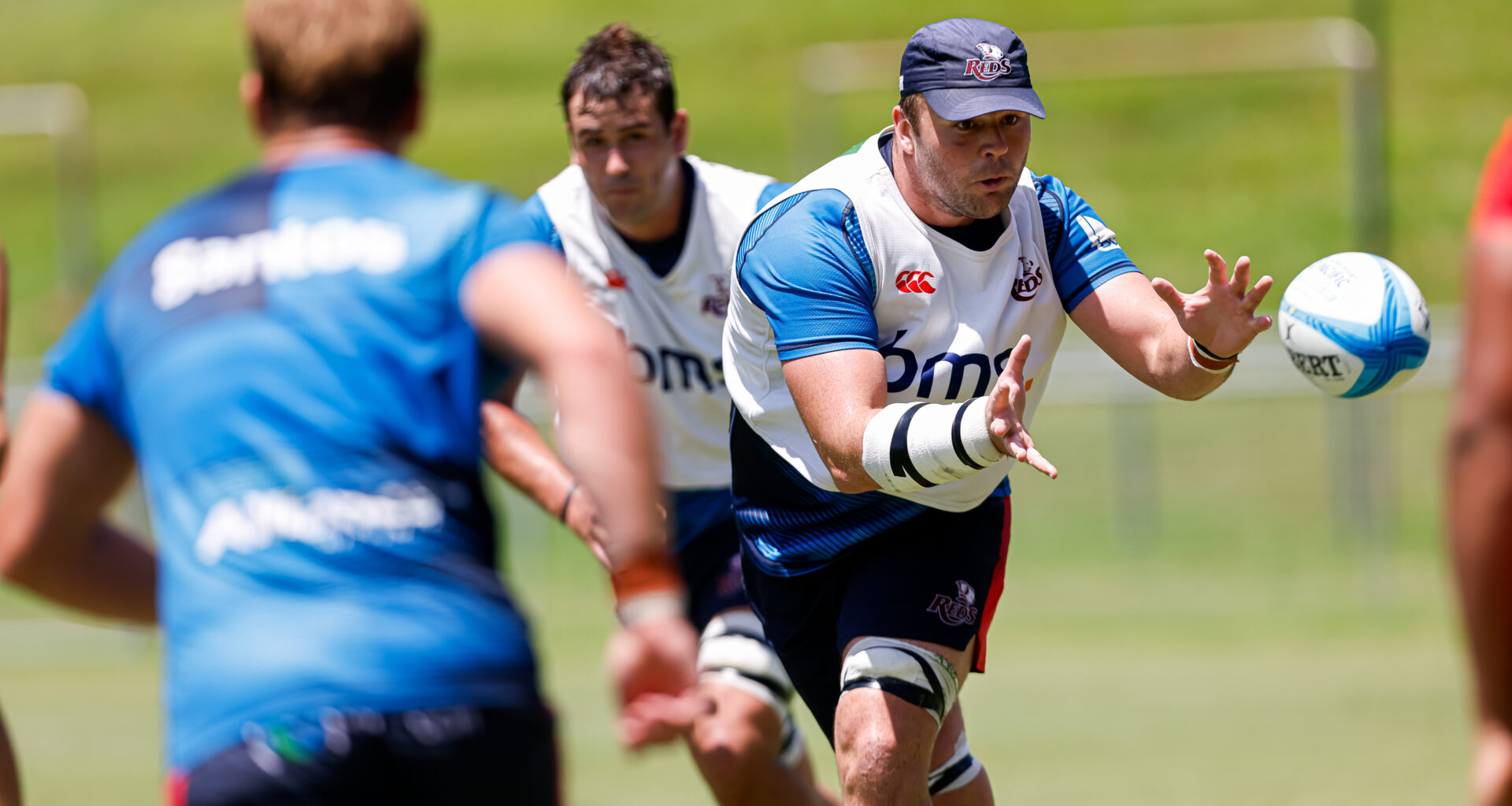 Queensland Reds Rugby