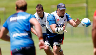 Queensland Reds Rugby