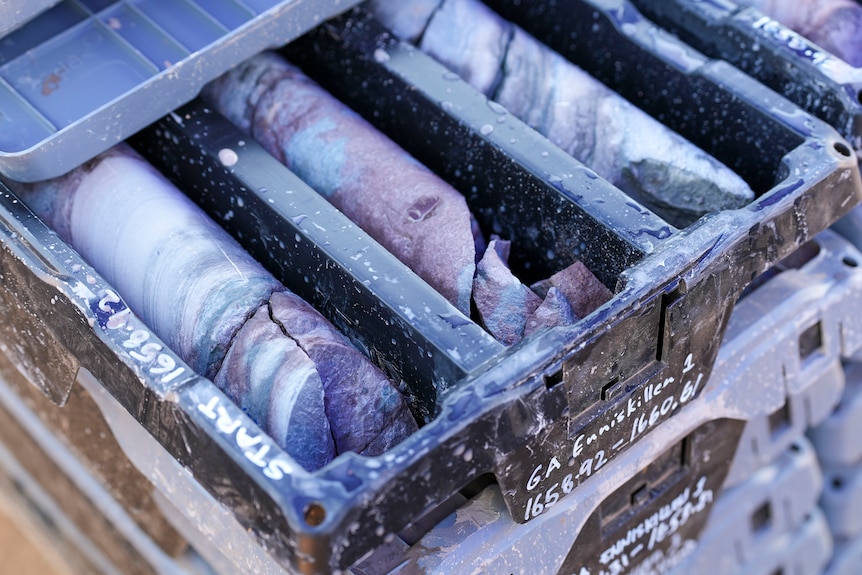 A plastic tub of cylindrical rock samples taken from deep in the earth's crust.