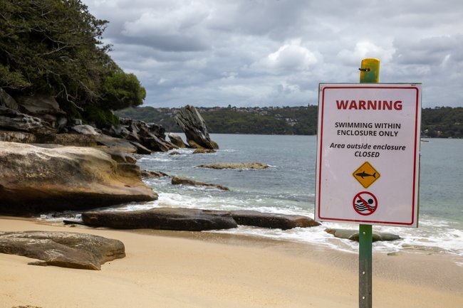 A sign erected at Shark Beach in Nielsen Park, Vaucluse where 12-year-old Nico Antic was attacked by a shark in January 2026.