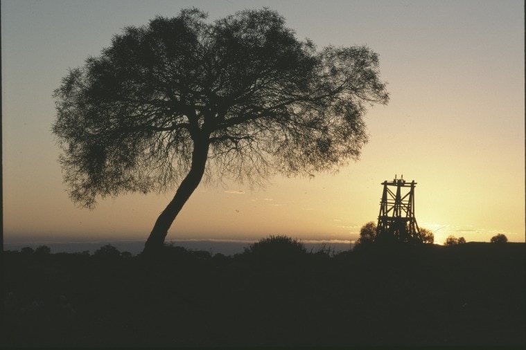 A photo of a tree and a mining headframe silhouetted against the sunset. 