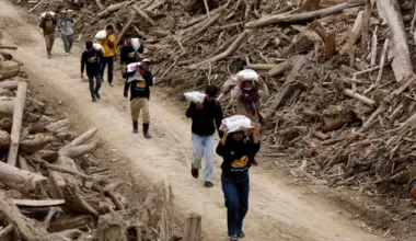 Subscribe Placeholder