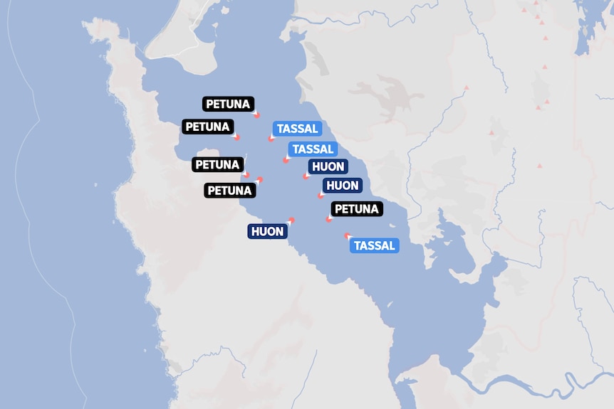 A map showing the location of salmon farm licences in Macquarie Harbour.