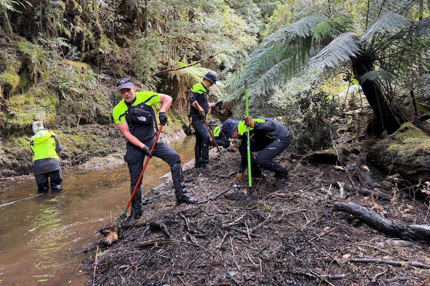 Emergency services personnel in dense forest.