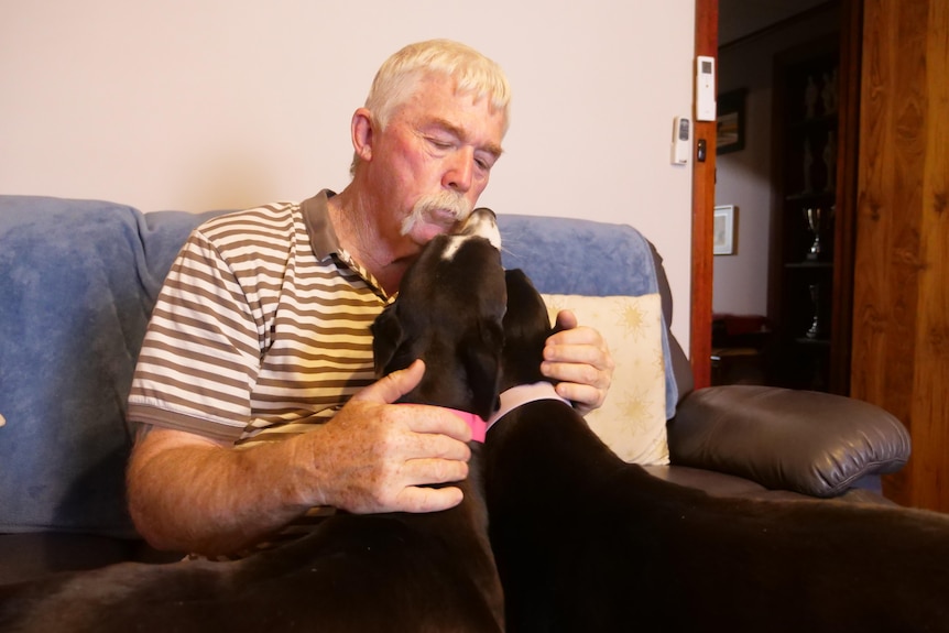 A man sits on a couch patting two greyhounds which stand in front of him with their faces up to his face.