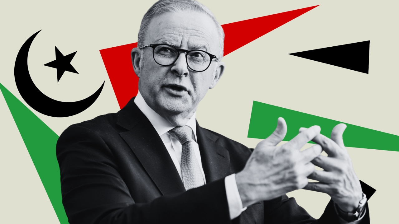 Anthony Albanese dismisses immigration concerns about Islamic countries, amid surge in One Nation polling