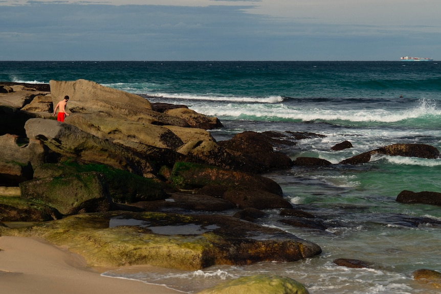 The rocky Tamarama shore.