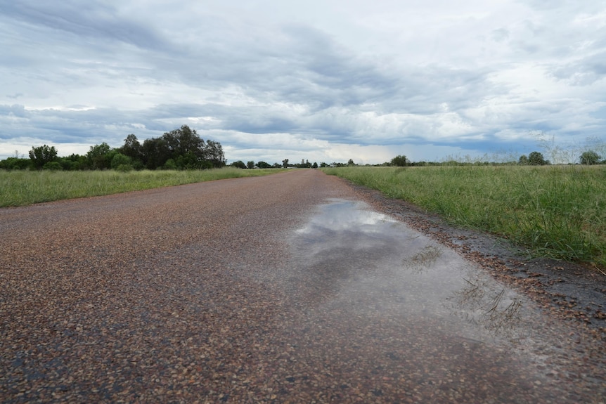 A puddle of water on a country road reflecting grass and a grey sky.
