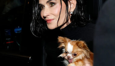 Yahoo entertainment home