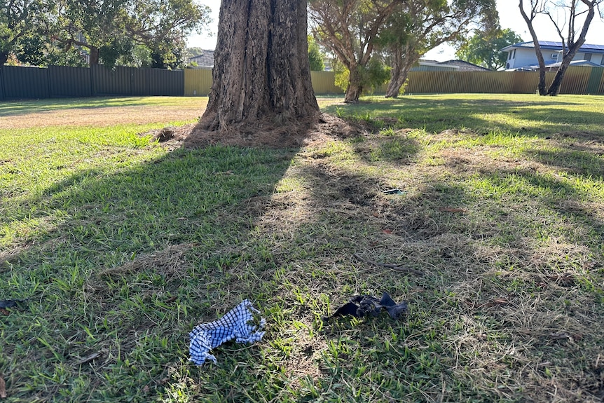 A patch of grass with some holes in it. 