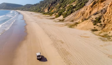 Subscribe to The Australian | Newspaper home delivery, website, iPad, iPhone & Android apps