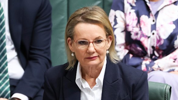 Sussan Ley in parliament on Thursday, the day her fate was sealed.
