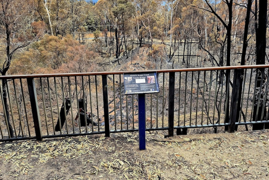 an information sign with burnt trees in the background