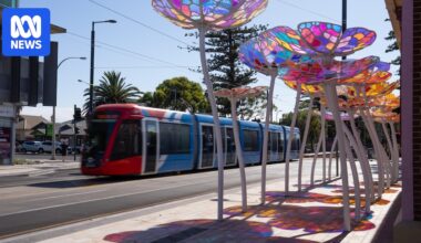 Traders 'excited for the future' after lengthy Jetty Road disruptions