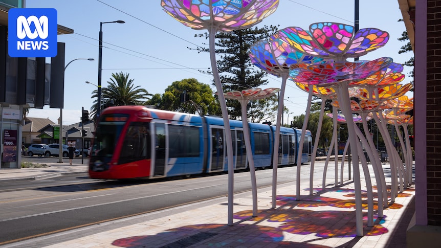 Traders 'excited for the future' after lengthy Jetty Road disruptions