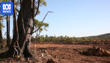 Alcoa under investigation for alleged breaches of state mining agreement