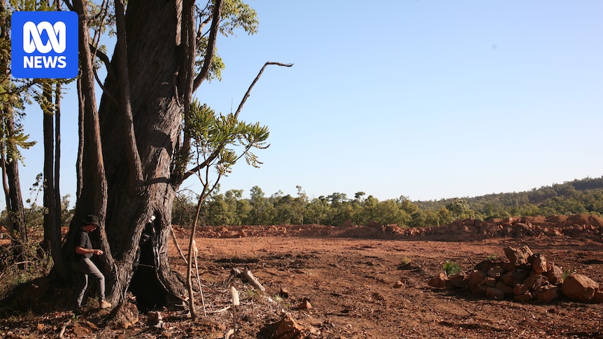 Alcoa under investigation for alleged breaches of state mining agreement