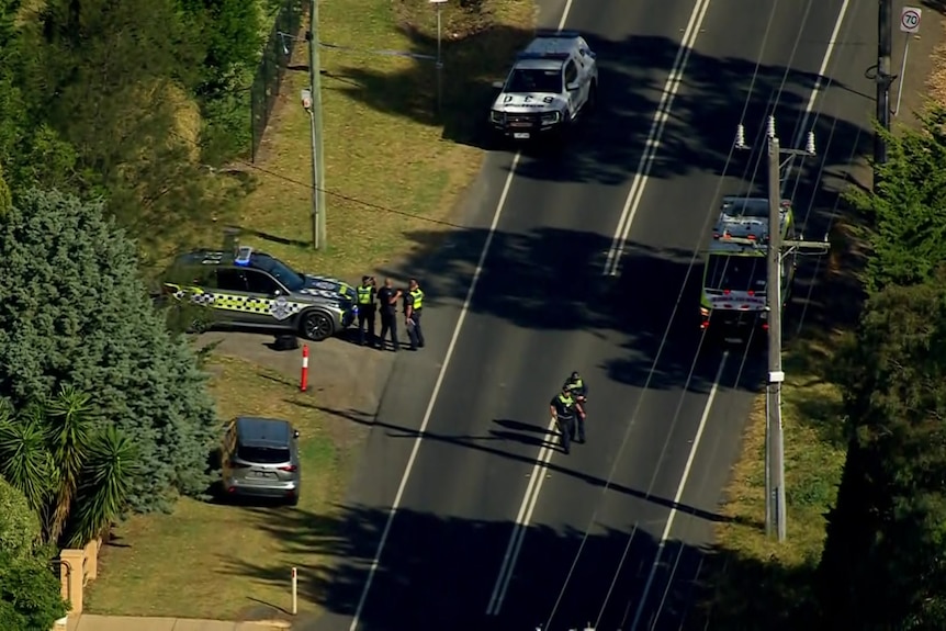 Police officers stand near a police car while others stand in the middle of a road lined with trees.