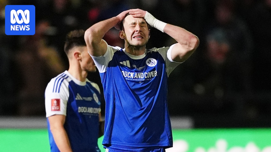 Own goal ends Macclesfield's FA Cup fairytale against Brentford