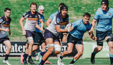 Brumbies Wordmark